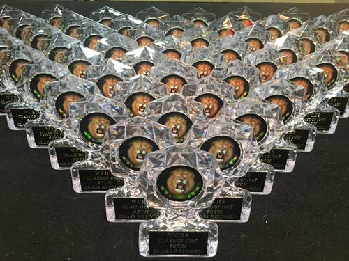 Lion acrylic awards
