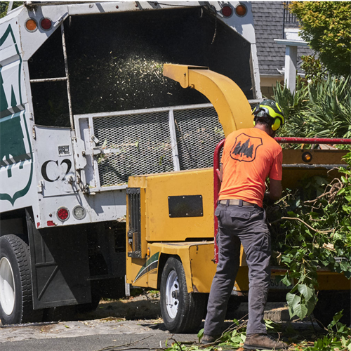 We haul away all our debris and leave your property sparkling clean.