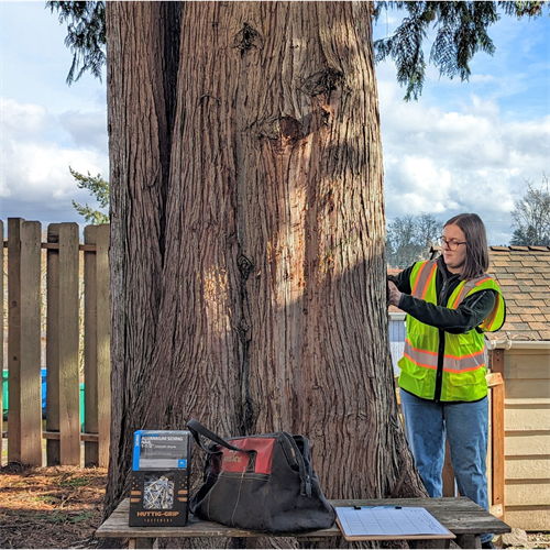 Our ISA Certified Arborists can help you understand your trees and mitigate potential risks.