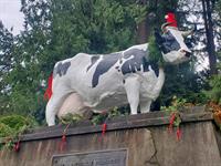 Carnation Farms Holiday Market