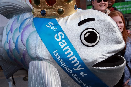 Gallery Image Salmon_Days_2018-timacheff-0333.JPG