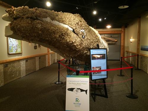 32 foot long whale made from plastic bags