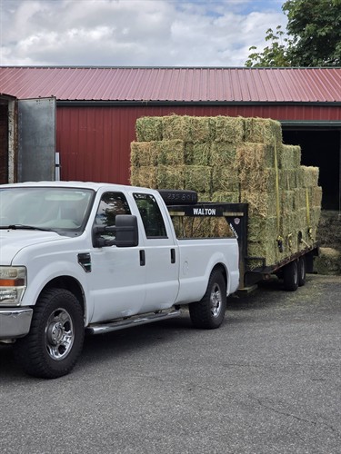 Hay Delivery
