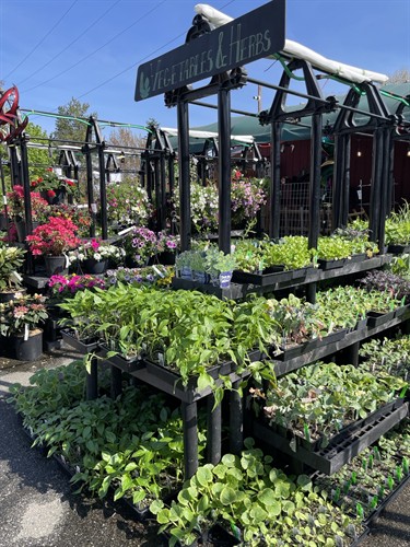 Lawn & Garden