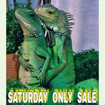 Every Saturday there are 50% OFF SALES!
