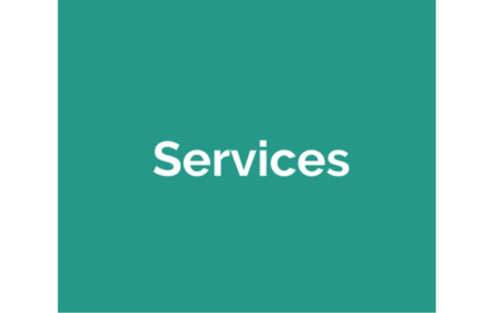 Services & Professional Services