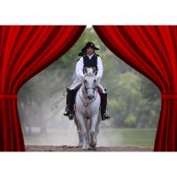 Tempel Lipizzans Exclusive PREVIEW PARTY and Summer Spotlight Performance