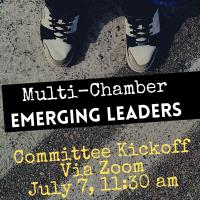 Lake County Emerging Leaders Committee