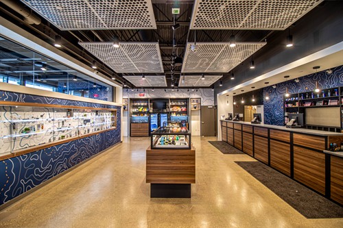 Gallery Image Terrabis_(5_of_16).jpg