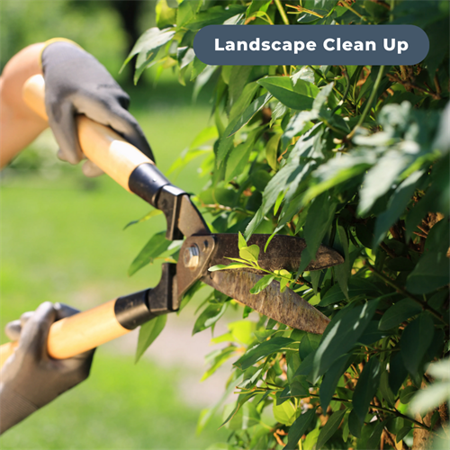 Landscape clean-up