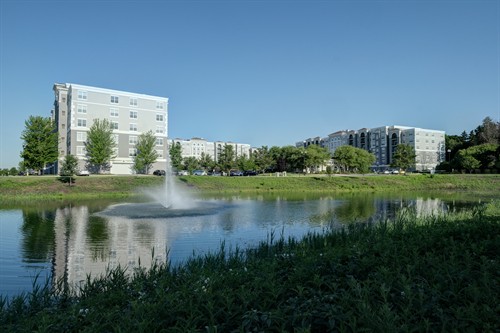 Gallery Image pond(1).jpg