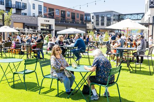 Gallery Image Hawthorn_Row_Event_Imagery.jpg