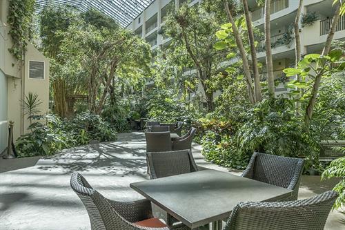 Gallery Image vernon-hills-large-atrium.jpg