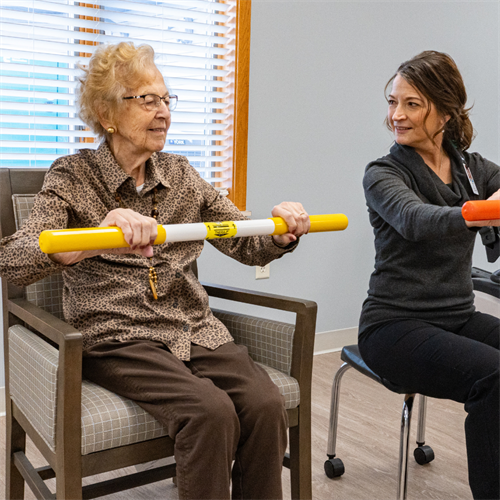 Physical and Occupational Therapy