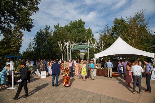 Annual Gala 2024 cocktail hour