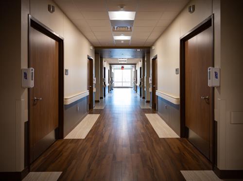 Patient Hallway