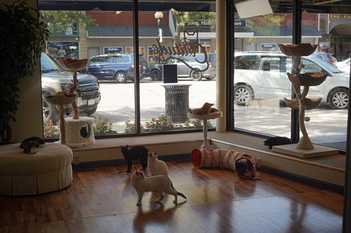 Gallery Image DSC00879(1).jpg