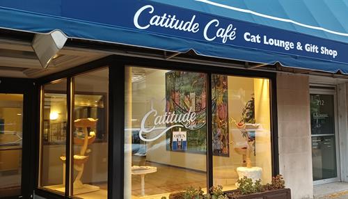Catitude Cafe, located at 210 S Main St in Goshen