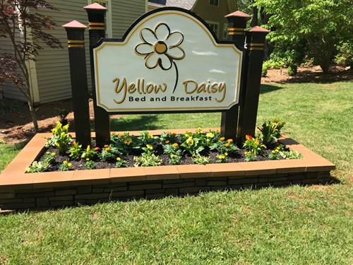 Yellow Daisy  Bed and Breakfast