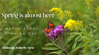 Dahlonega Butterfly Farm 2024 Opening Weekend