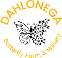 The Dahlonega Butterfly Farm