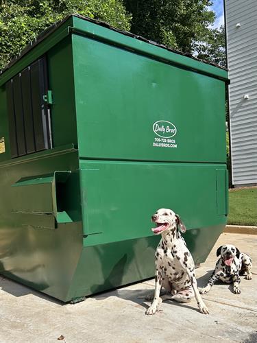 Gallery Image IMG_6512.jpeg