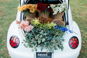 Because Buds Flowers, LLC