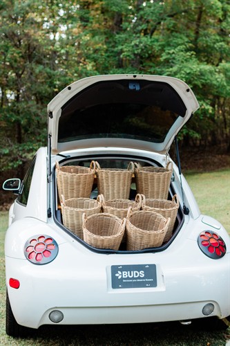 Gallery Image Horn_Photography_and_Design_BUDS_-_0002_.jpg