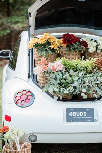 Gallery Image Horn_Photography_and_Design_BUDS_-_0075_.jpg