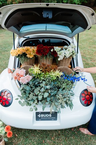 Gallery Image Horn_Photography_and_Design_BUDS_-_0172_.jpg