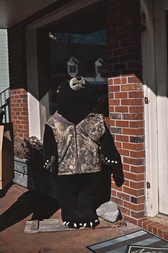 Gallery Image DSC_8340.jpeg