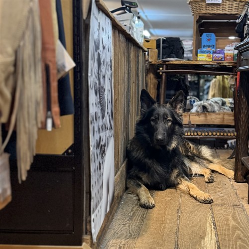 Gallery Image IMG_0312.jpeg