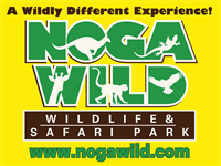 Holiday Celebration at the Nogawild Safari