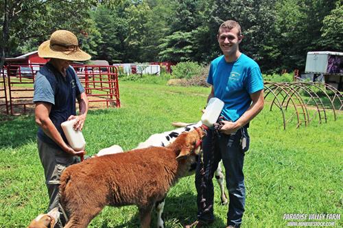 Gallery Image Ethan_and_Dede_Bottle_Feeding_Bison_and_Cow_2017_(3).JPG