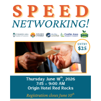 Speed Networking