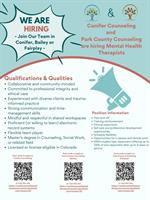 Conifer Counseling & Therapy Services