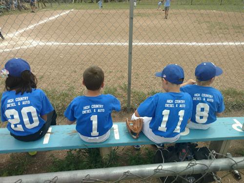 We are honored to sponsor Platte Canyon Little League teams!