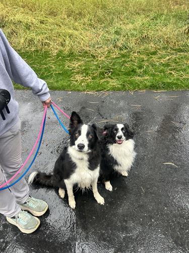 Gallery Image IMG_2795.jpeg Gallery Image IMG_2795.jpeg