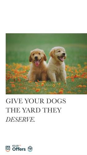 Gallery Image zojomr3noa_Give-Your-Dogs-Backyard.jpg
