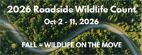 Roadside Wildlife Count to highlight animal-vehicle collisions during fall in Colorado