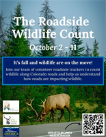 Roadside Wildlife Count to highlight animal-vehicle collisions during fall in Colorado