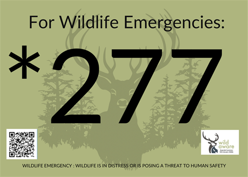 for Wildlife Emergencies