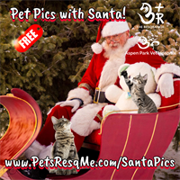 Pet Pictures with Santa at Aspen Park Vet!