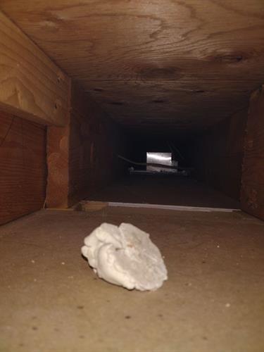 HVAC Cleaning - After (We managed to remove the plaster clod by hand)