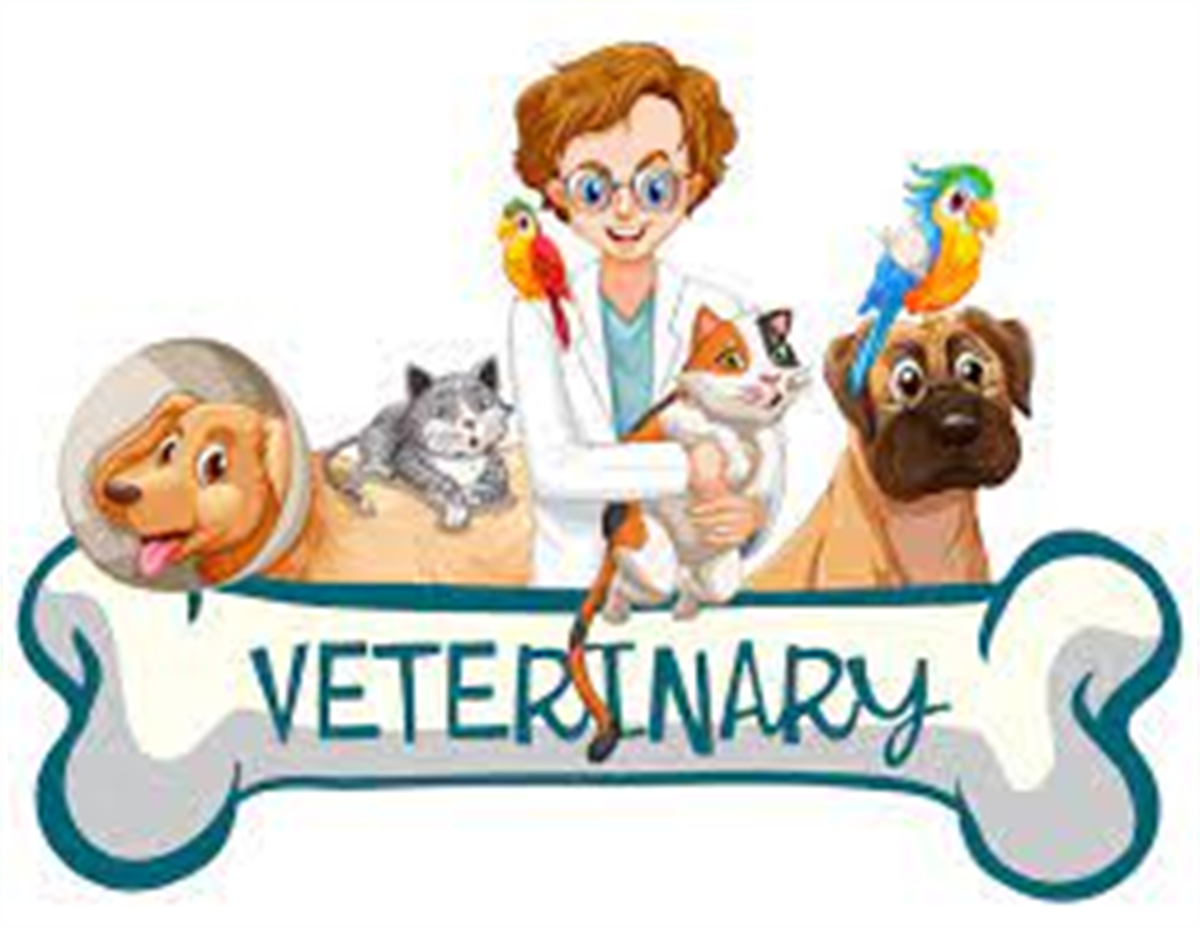 Ignite The Mind Steam Camp - Veterinary Medicine - Jun 13, 2024