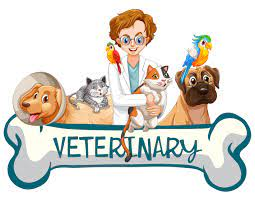 STEAM Summer Camp - Veterinary Medicine