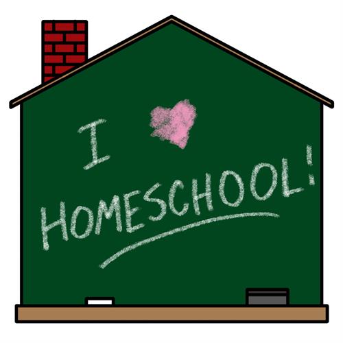 Homeschool Enrichment