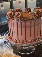 Ripple Pizza and Ice Cream - Conifer