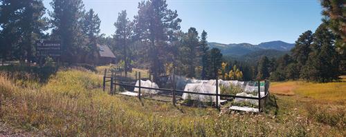 We're home to the Conifer Community Garden