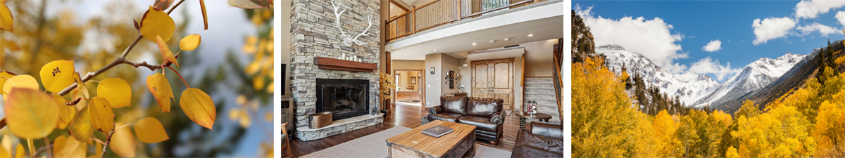 Jackie White, Realtor